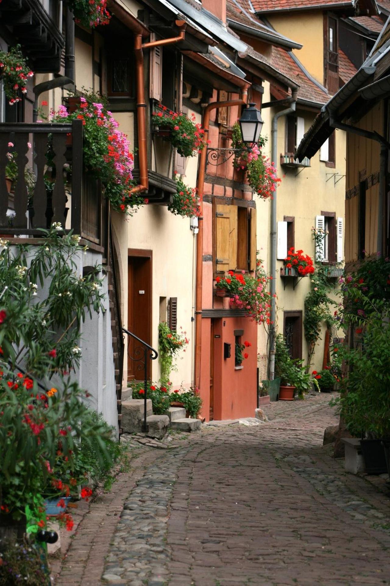 Gite Traditionnel Au Centre Historique D'Eguisheim Exterior foto